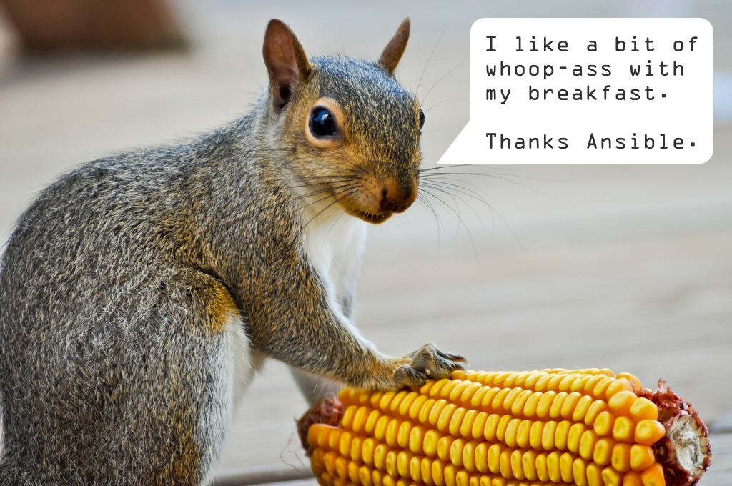 Squirrel eating corn and saying: I like a bit of whoop-ass with my breakfast. Thanks Ansible.